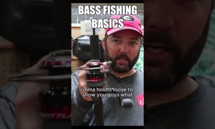 FlukeMaster – How to choose a spinning reel 🎣🎣