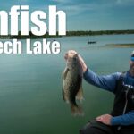 Spring Panfish on Leech Lake